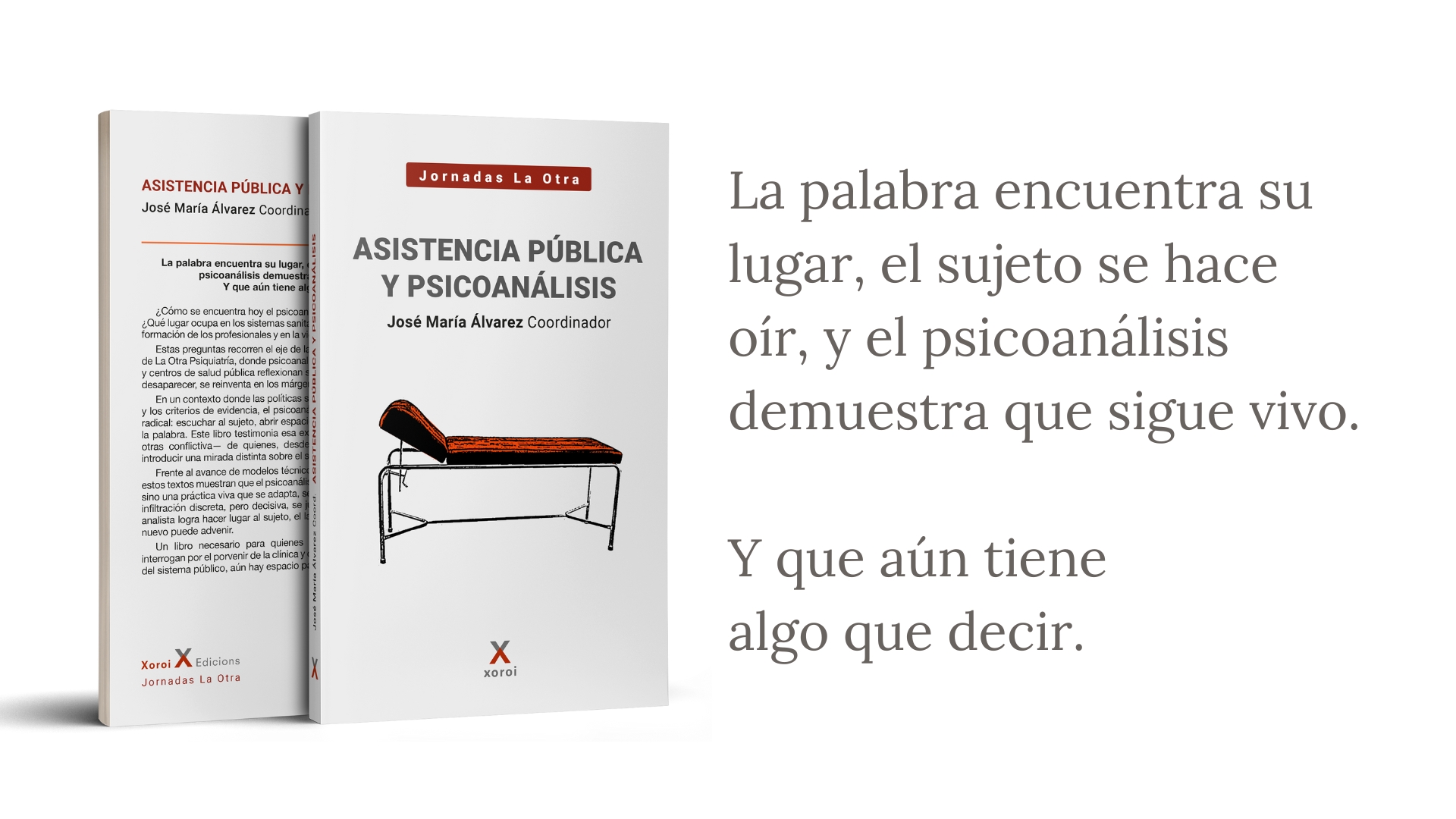 PREVIEWLIBRO home Asistencia-publica-y-psicoanalisis_Jose Maria-Alvarez Xoroi Edicions 169